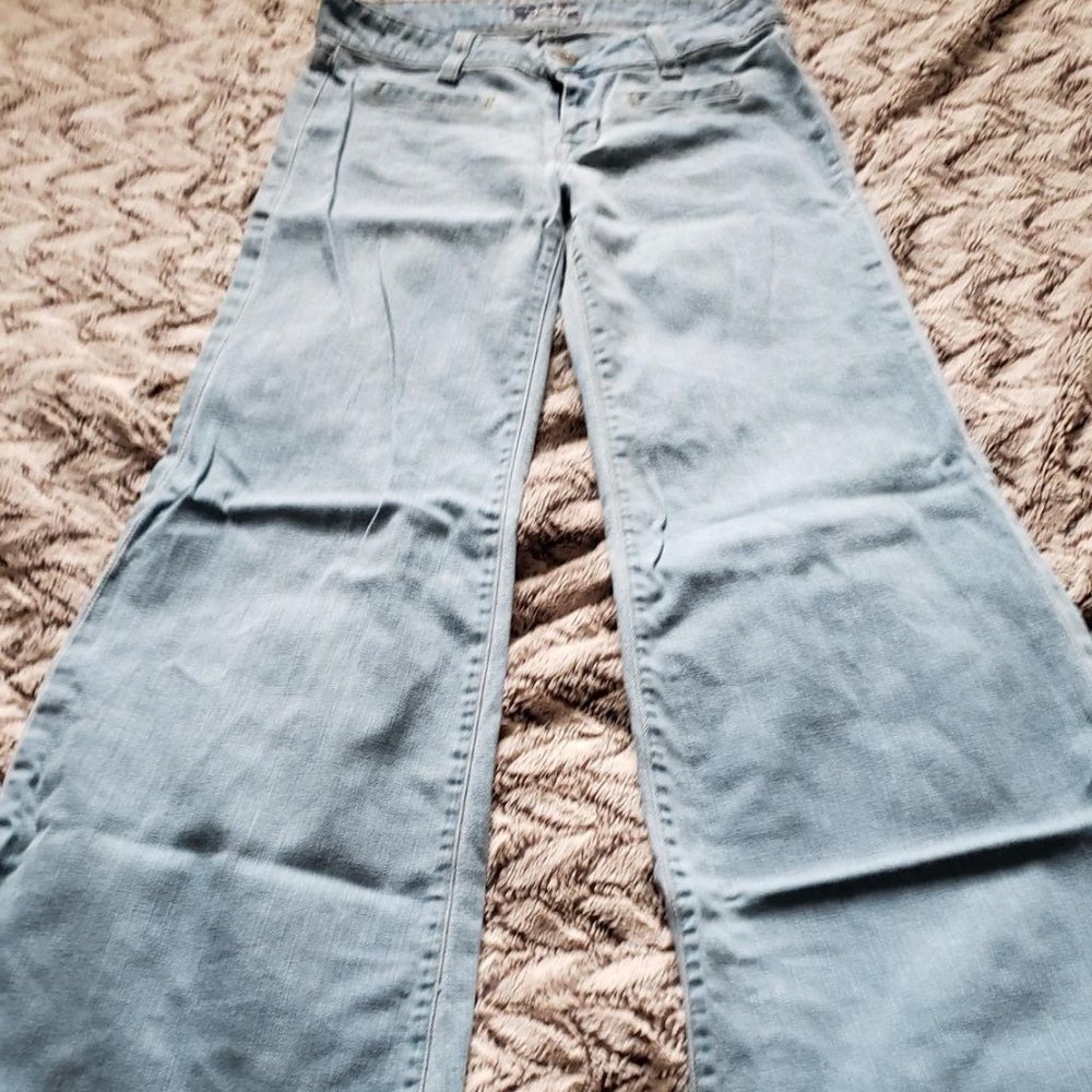 Hudson Flare Jeans